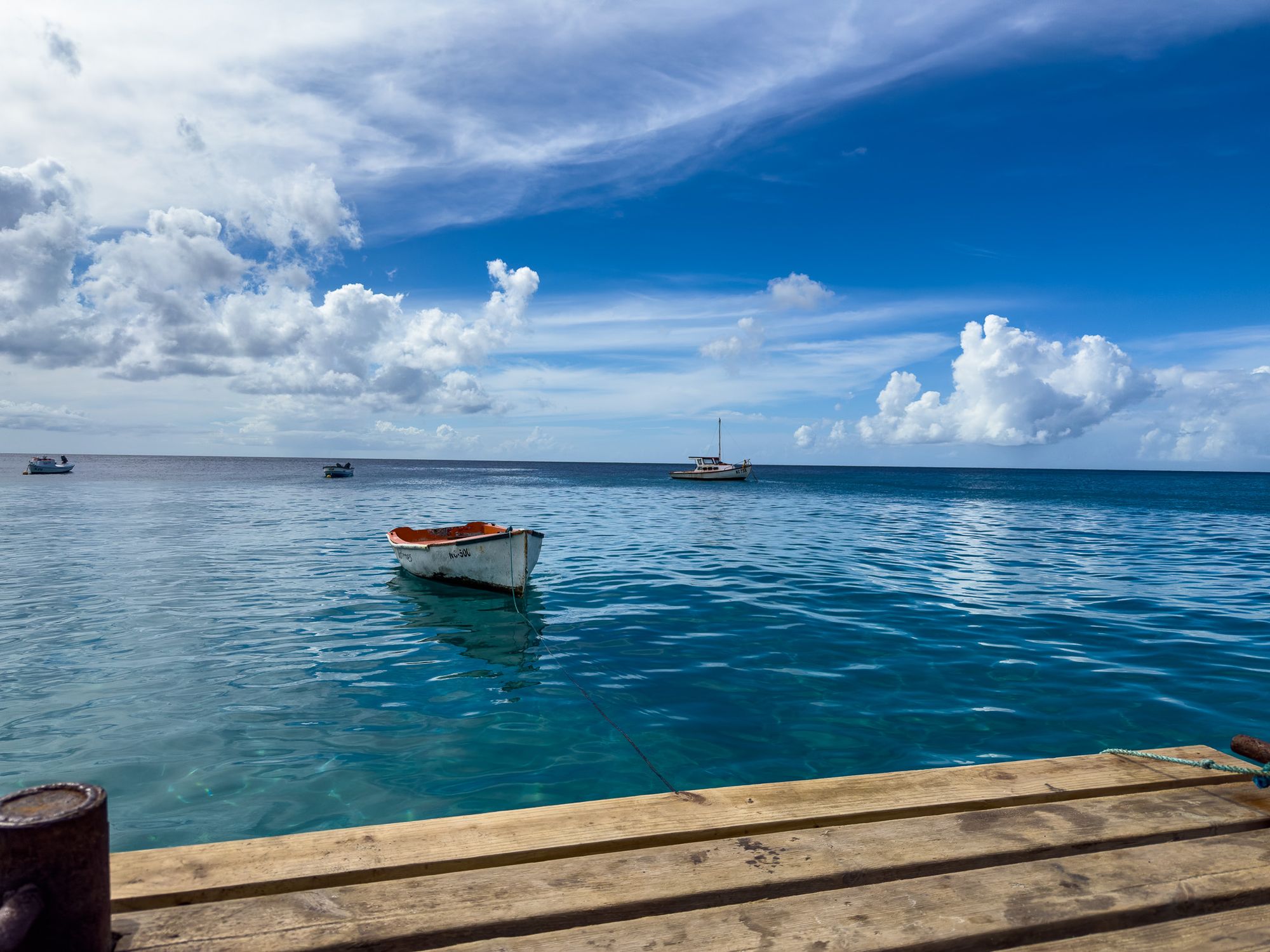 The Theme of the Day