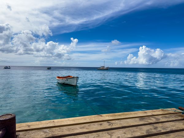 The Theme of the Day