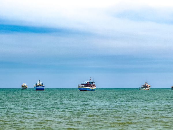 Preview: CodeBot for Delphi